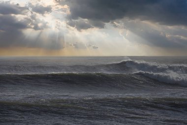 Büyük dalgalar Santa Barbara limanını vurdu.