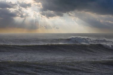 Büyük dalgalar Santa Barbara limanını vurdu.