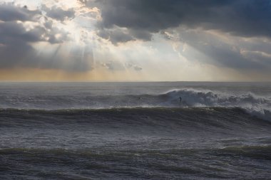 Büyük dalgalar Santa Barbara limanını vurdu.