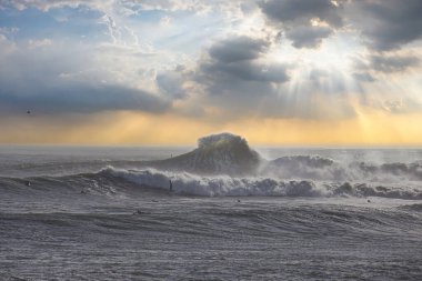 Büyük dalgalar Santa Barbara limanını vurdu.