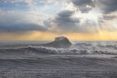 Büyük dalgalar Santa Barbara limanını vurdu.