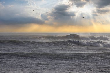 Büyük dalgalar Santa Barbara limanını vurdu.
