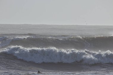 14 yılın en büyük dalgaları Santa Barbara limanını vurdu.