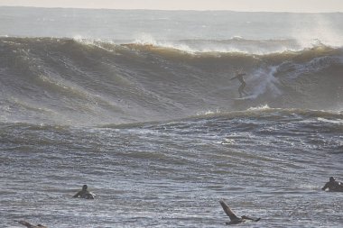 14 yılın en büyük dalgaları Santa Barbara limanını vurdu.