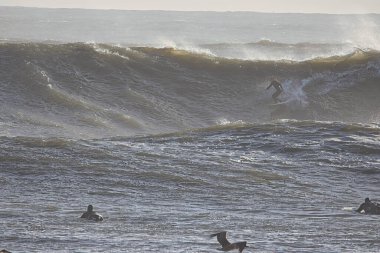14 yılın en büyük dalgaları Santa Barbara limanını vurdu.