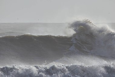 14 yılın en büyük dalgaları Santa Barbara limanını vurdu.