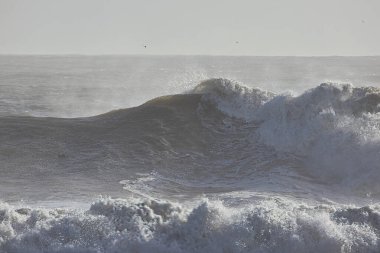 14 yılın en büyük dalgaları Santa Barbara limanını vurdu.