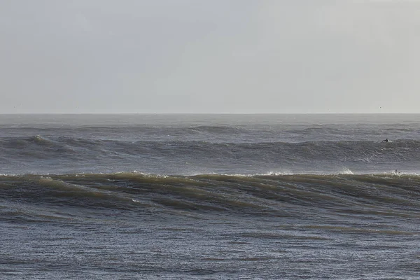 14 yılın en büyük dalgaları Santa Barbara limanını vurdu.