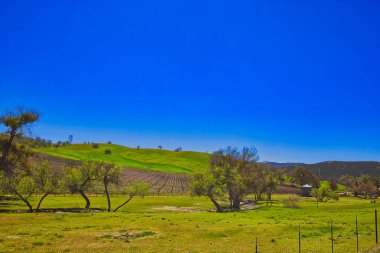 Santa Ynez, Kaliforniya 'da bahar