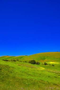 Santa Ynez, Kaliforniya 'da bahar