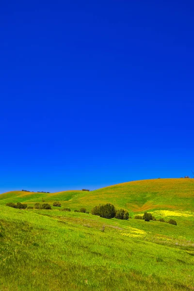 Lente Santa Ynez Californië — Stockfoto