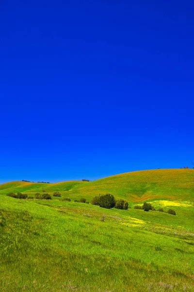 Våren Santa Ynez Kalifornien — Stockfoto