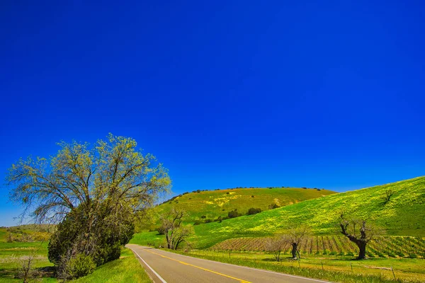 カリフォルニア州サンタ イエネスの春 — ストック写真