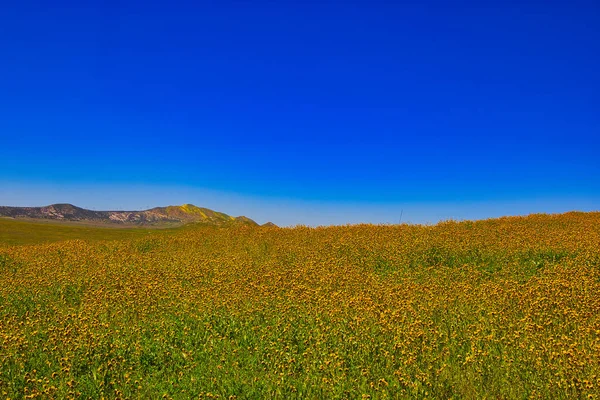 Primavera Santa Ynez California — Foto Stock