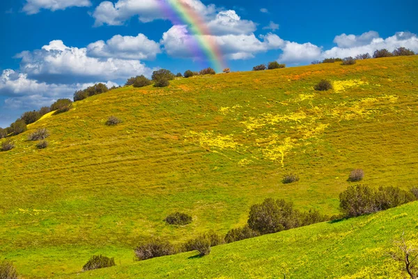 Tavasz Santa Ynezben Kaliforniában — Stock Fotó