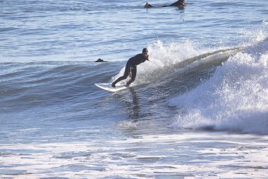 Kaliforniya 'daki Rincon Point' te büyük kış dalgalarında sörf yapmak