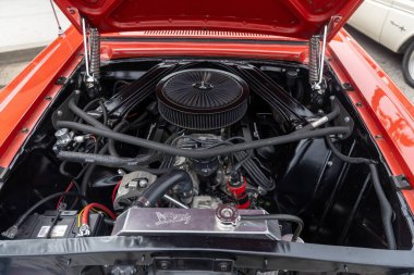 Carpinteria California 'da Rods and Roses araba fuarı