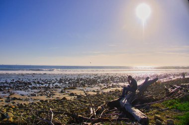 Montecito 'daki Hammonds Meadow' da güneşli bir sörf gününün tadını çıkarıyorum.