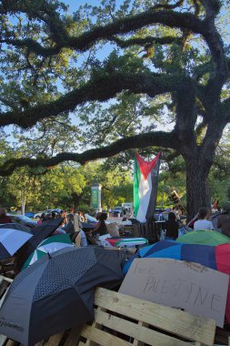 Ortadoğu savaş öğrencisi protestocular Tulane Üniversitesi 'nde