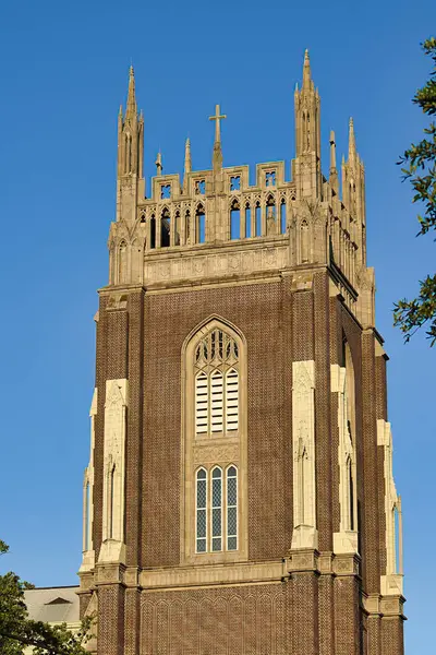 stock image Mideast war student protestors at Tulane University