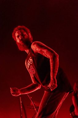 Malone ve grubu Bonnaroo müzik festivalinde sahne alacak.