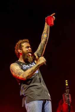 Malone ve grubu Bonnaroo müzik festivalinde sahne alacak.