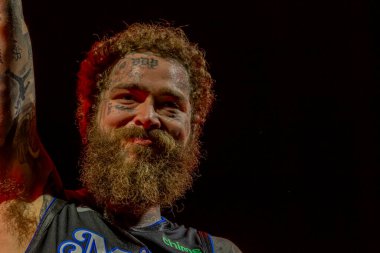 Malone ve grubu Bonnaroo müzik festivalinde sahne alacak.