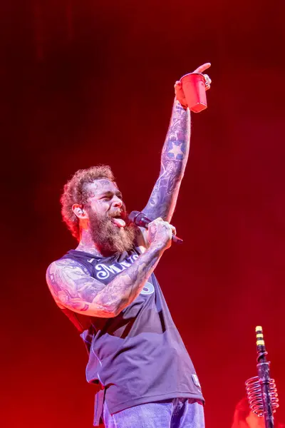 Malone ve grubu Bonnaroo müzik festivalinde sahne alacak.