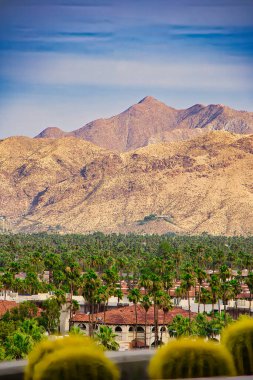 Palm Springs, Kaliforniya 'yı keşfediyor.