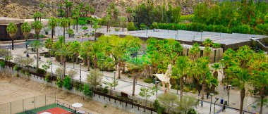 Palm Springs, Kaliforniya 'yı keşfediyor.