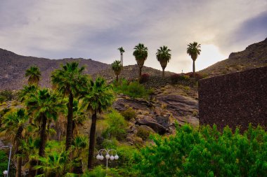 Palm Springs, Kaliforniya 'yı keşfediyor.
