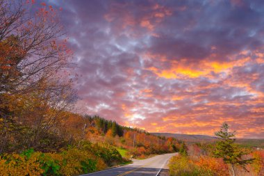 Sonbaharda Cape Breton Nova Scotia 'daki Cabot Patikasını keşfediyorum..