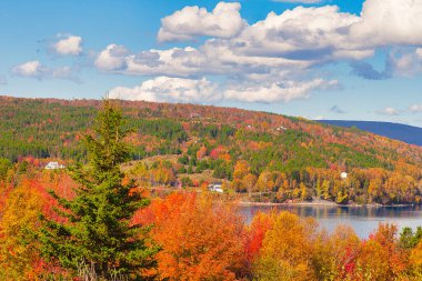 Sonbaharda Cape Breton Nova Scotia 'daki Cabot Patikasını keşfediyorum..