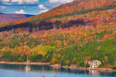 Sonbaharda Cape Breton Nova Scotia 'daki Cabot Patikasını keşfediyorum..