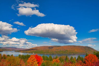 Sonbaharda Cape Breton Nova Scotia 'daki Cabot Patikasını keşfediyorum..