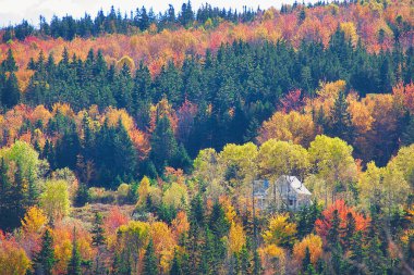 Sonbaharda Cape Breton Nova Scotia 'daki Cabot Patikasını keşfediyorum..