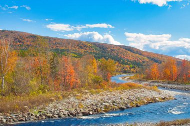 Sonbaharda Cape Breton Nova Scotia 'daki Cabot Patikasını keşfediyorum.