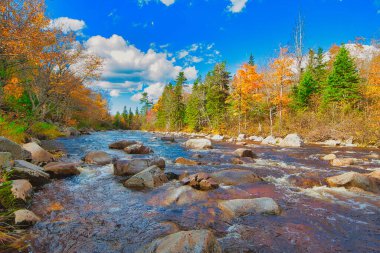 Sonbaharda Cape Breton Nova Scotia 'daki Cabot Patikasını keşfediyorum.