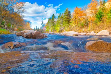 Sonbaharda Cape Breton Nova Scotia 'daki Cabot Patikasını keşfediyorum.