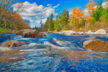 Sonbaharda Cape Breton Nova Scotia 'daki Cabot Patikasını keşfediyorum.