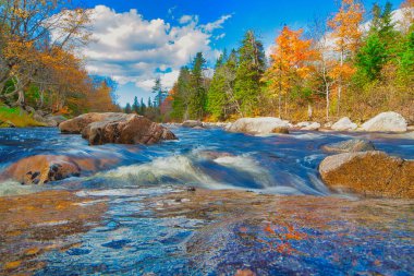 Sonbaharda Cape Breton Nova Scotia 'daki Cabot Patikasını keşfediyorum.