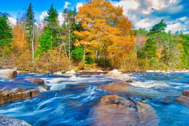 Sonbaharda Cape Breton Nova Scotia 'daki Cabot Patikasını keşfediyorum.