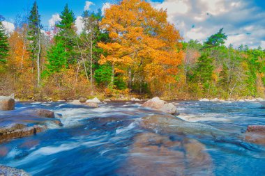 Sonbaharda Cape Breton Nova Scotia 'daki Cabot Patikasını keşfediyorum.