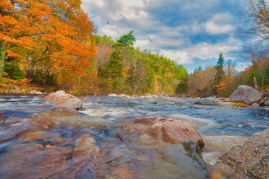 Sonbaharda Cape Breton Nova Scotia 'daki Cabot Patikasını keşfediyorum.
