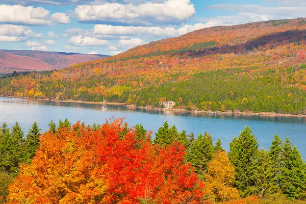 Sonbaharda Cape Breton Nova Scotia 'daki Cabot Patikasını keşfediyorum..