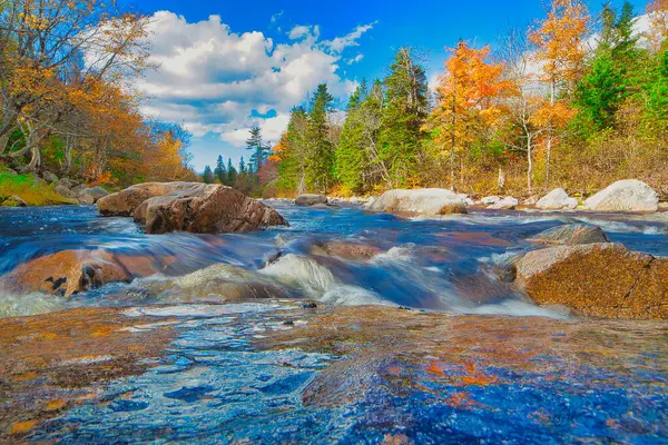 Sonbaharda Cape Breton Nova Scotia 'daki Cabot Patikasını keşfediyorum.