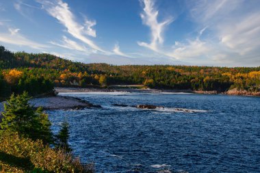 Sonbaharda Cape Breton Nova Scotia 'daki Cabot Patikasını keşfediyorum.