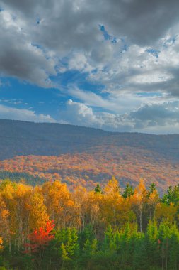 Sonbaharda Cape Breton Nova Scotia 'daki Cabot Patikasını keşfediyorum.
