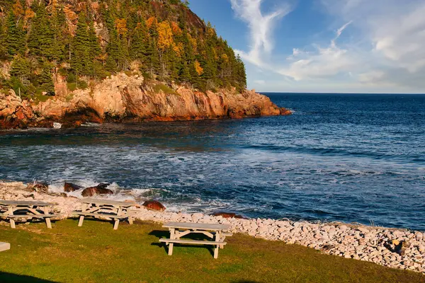 Sonbaharda Cape Breton Nova Scotia 'daki Cabot Patikasını keşfediyorum.