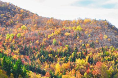 Cape Breton, Nova Scotia, Kanada